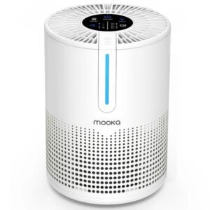 HEPA Air Purifier for Home – Compact Air Cleaner with Filter for Bedroom, Office & Desktop